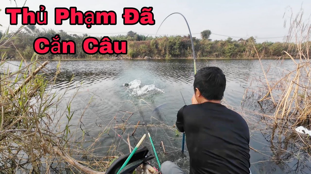 Tập 2 Sân Một Loại Cá Cực Kỳ Hung Dữ Lực Cắn Cực Cao Thủ Phạm Lộ Diện Thả Mồi Đớp Liền hải vlog