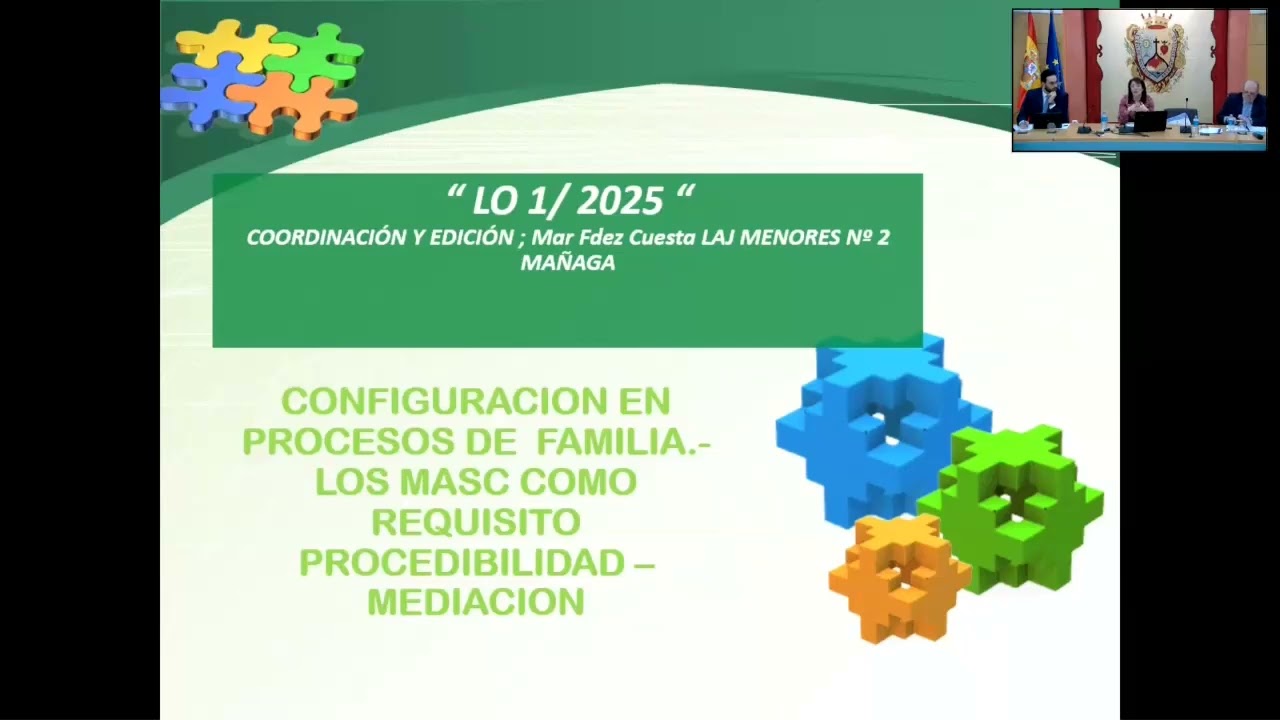 La configuración de los procesos civiles tras la LO 1/2025: especial atención a procesos de familia.