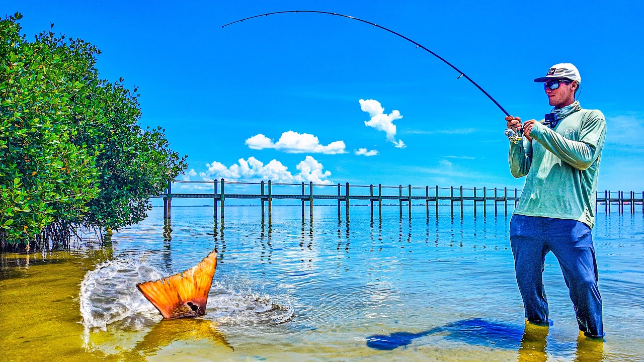 I WADE FISHED CRYSTAL CLEAR FLORIDA FLATS FOR BIG FISH!
