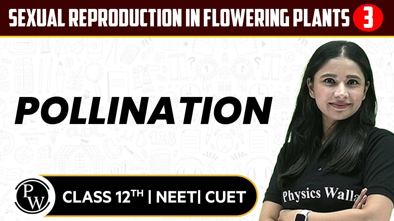 Sexual Reproduction in Flowering Plants 04 | Pollination | Pure English | 12th / NEET/CUET