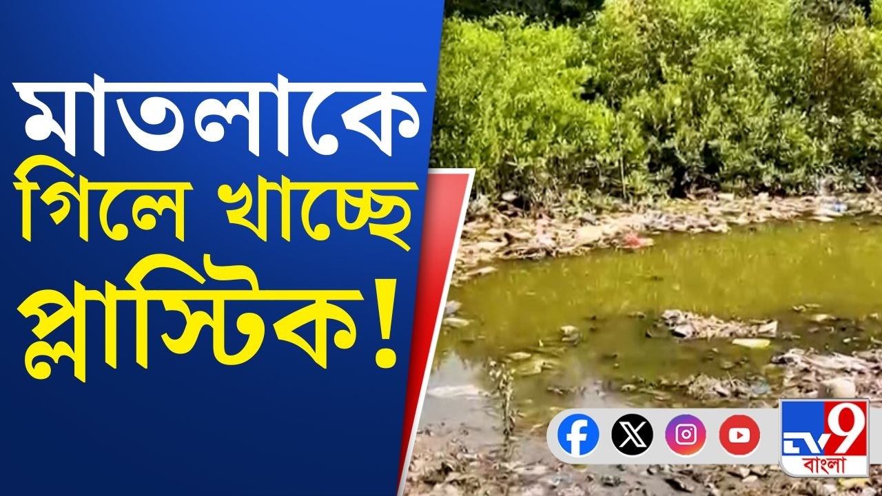 Matla River Pollution: মাতলার জলে দেদার মিশছে প্লাস্টিক, সেতু পরিষ্কার করে নদীতে ফেলা হচ্ছে জঞ্জাল!
