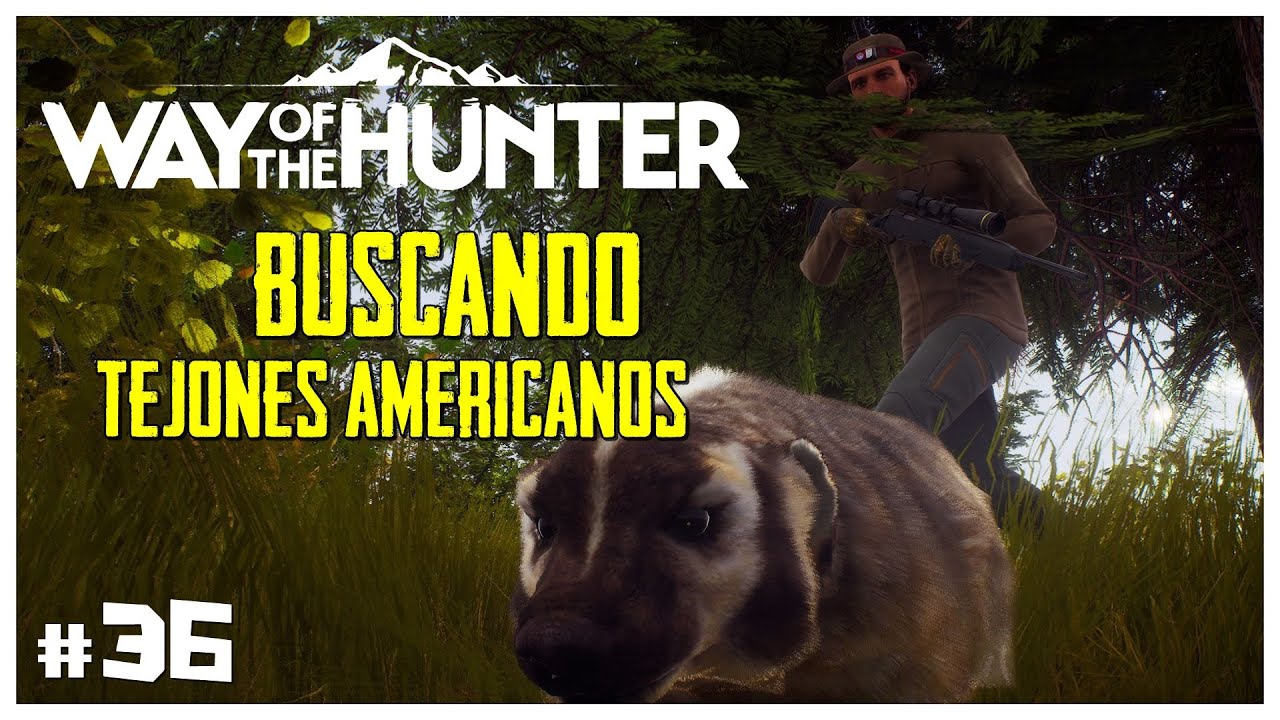 BUSCANDO TEJONES AMERICANOS | ⛰️WAY OF THE HUNTER #36