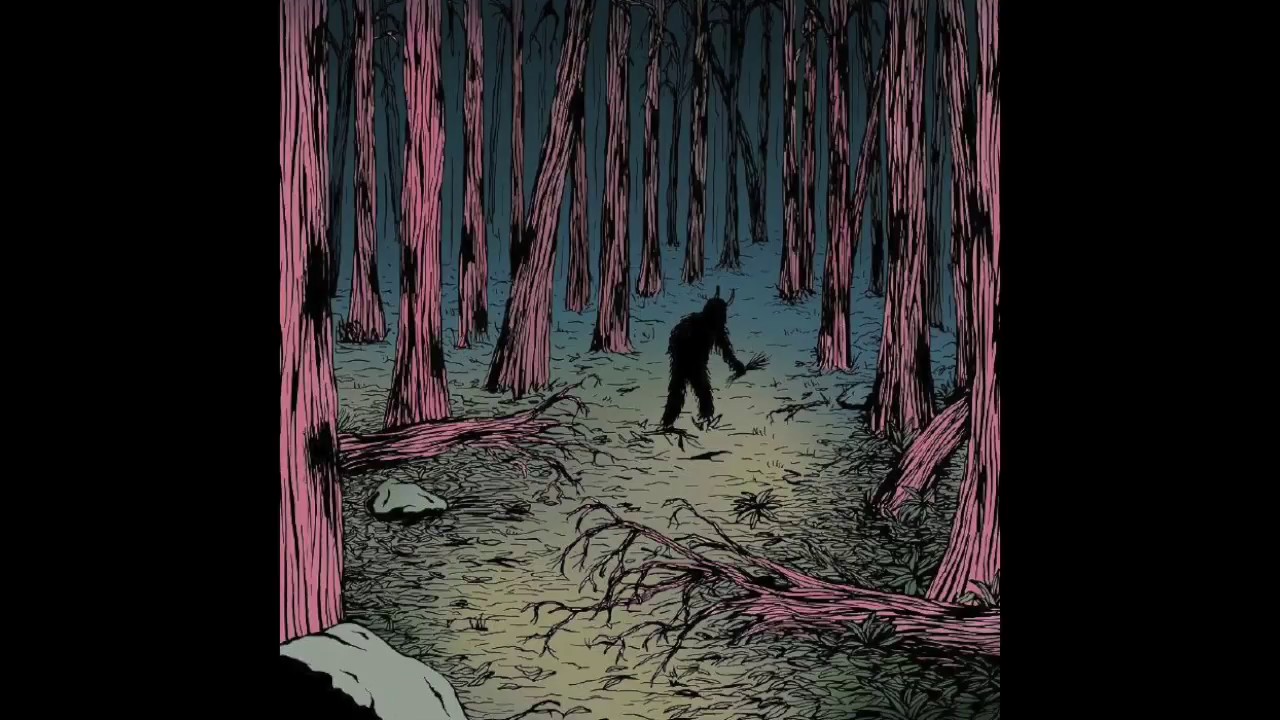 Wanderwelle - Lured By An Unseen Presence [SSV11]