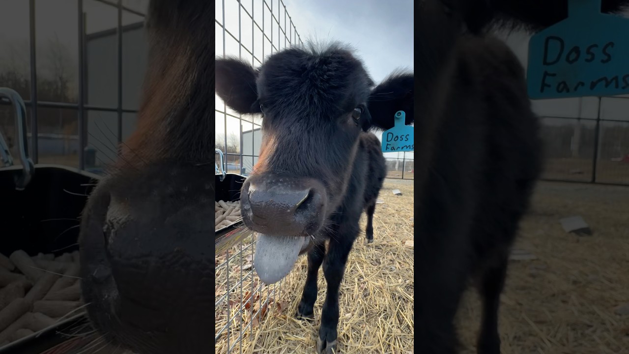 Morning!