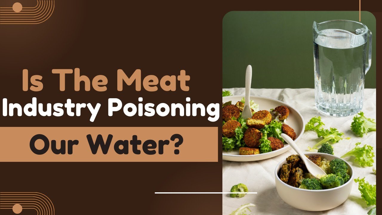 Is The Meat Industry POISONING Our Water?