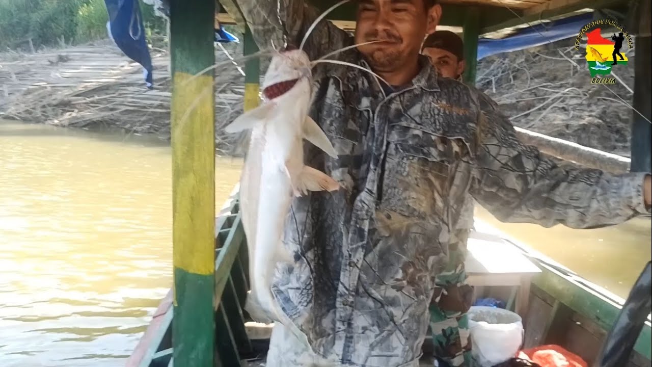 PESCA EN EL RÍO ICHILO, BOLIVIA 🇧🇴