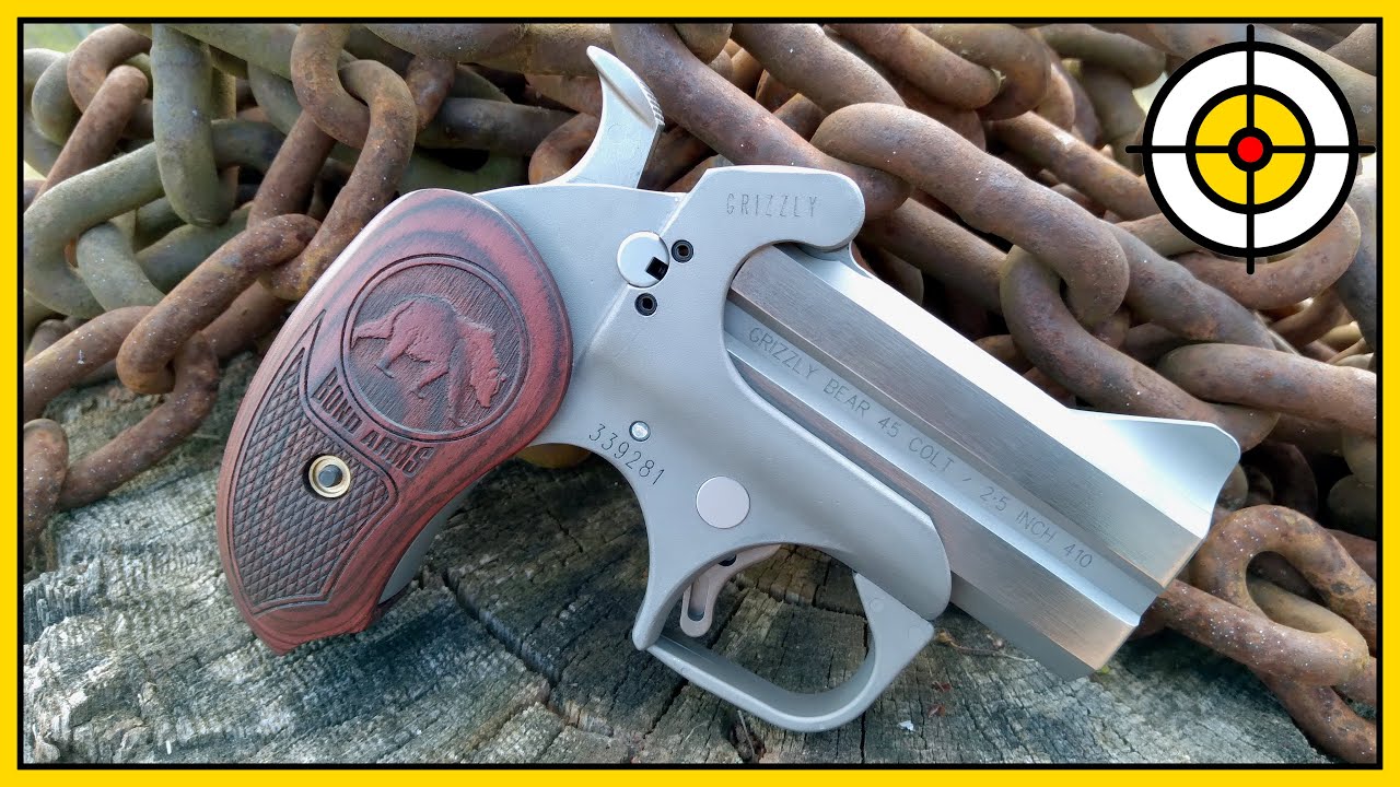 🐻Не обычный медведь!🐻 Обзор и первые выстрелы Bond Arms Grizzly .45 Colt и .410 Derringer!