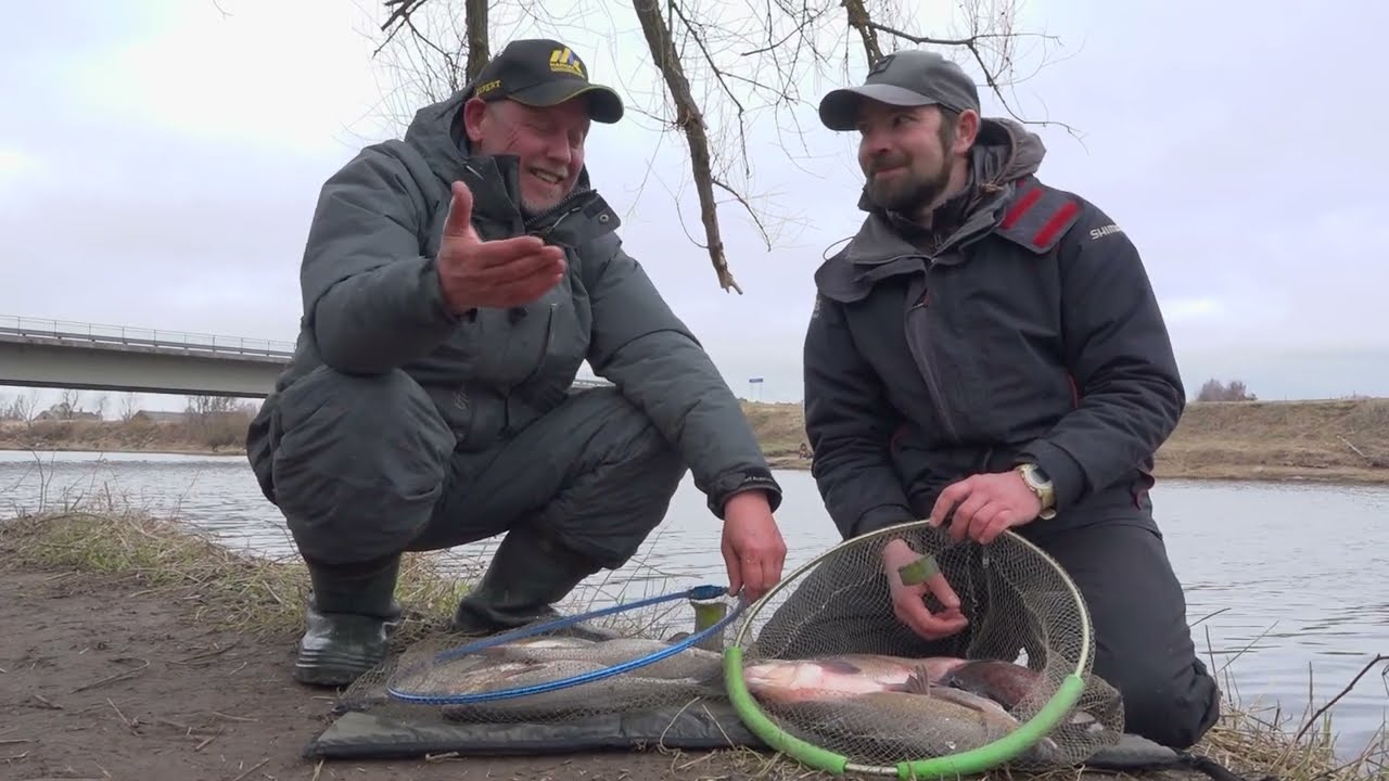Pavasario žiobriai feederiu.  TV