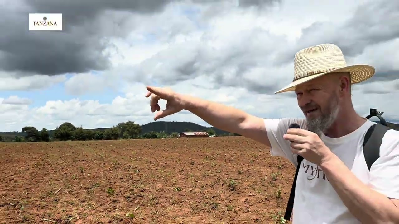 Kávová farma Vwawa 01/2026