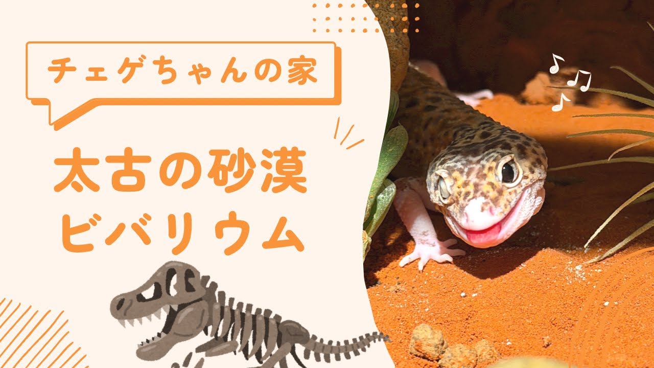 太古の砂漠を30cm水槽に｜チェゲちゃんの砂漠ビバリウム制作編