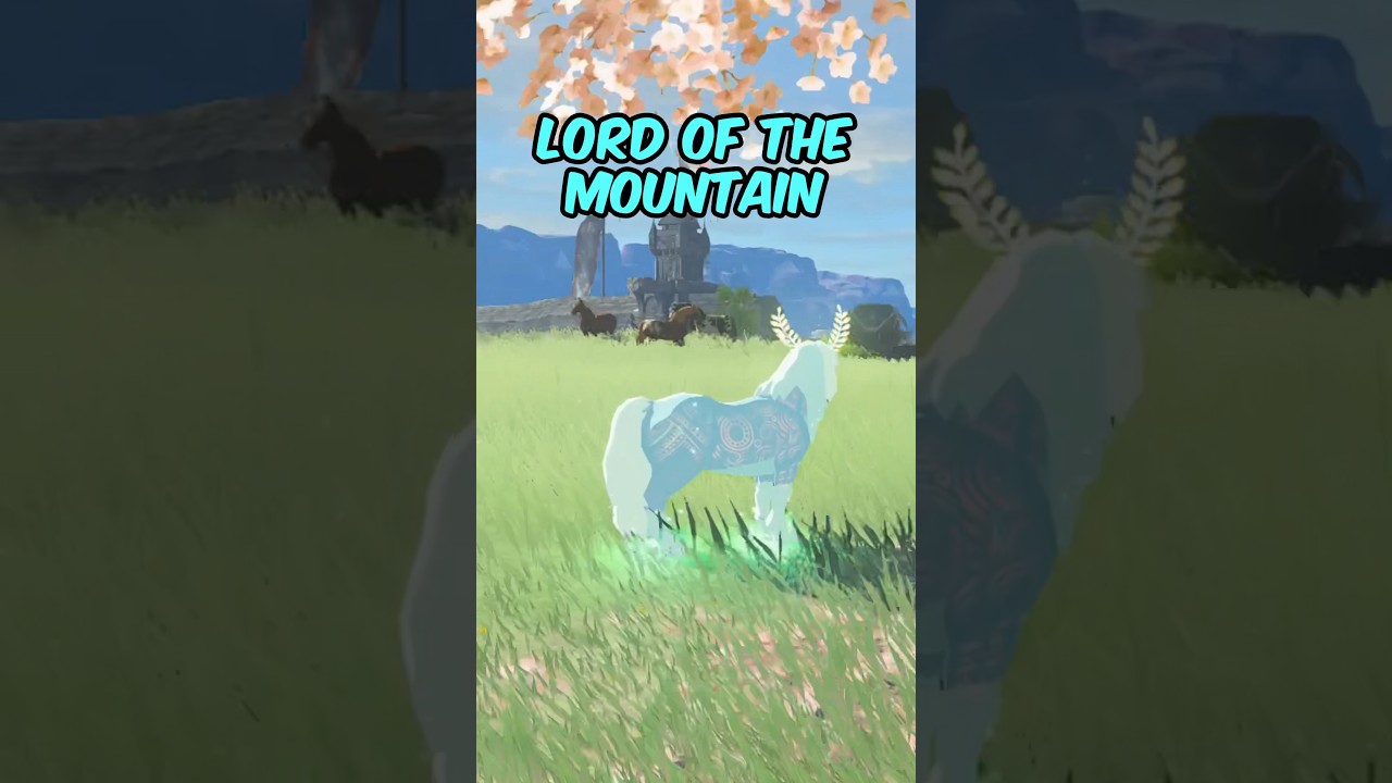 Things You Didn&rsquo;t Know In Tears of the Kingdom! 🤯(Part 1) #zelda #totktips #totk #tearsofthekingdom