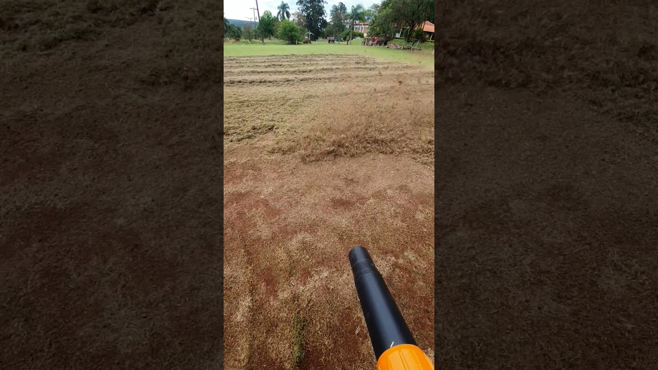 soprador Stihl br-800