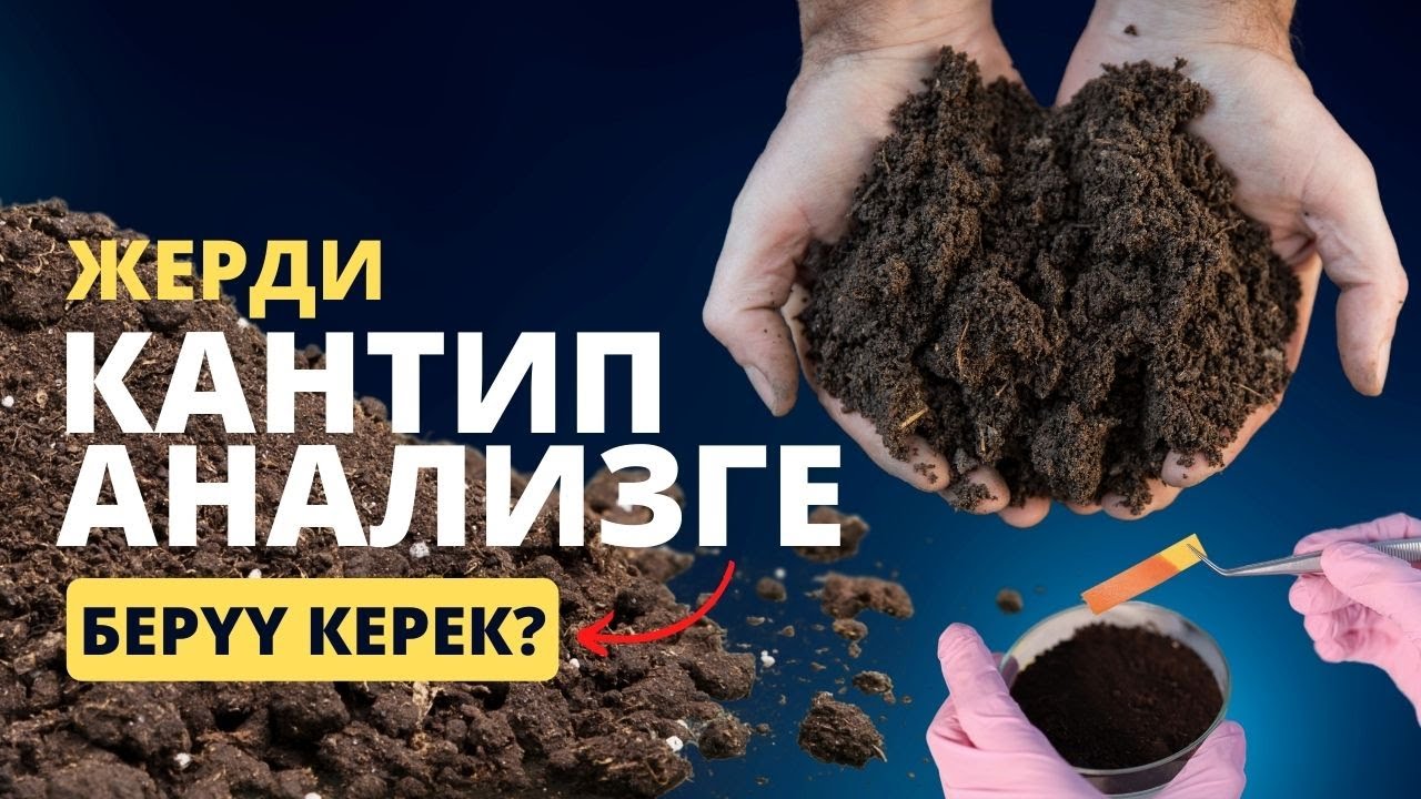 Топурактын анализин чыгаруу | Лаборатория