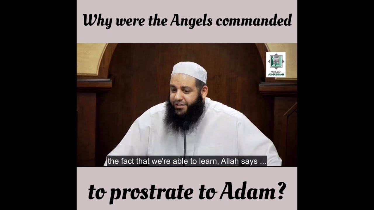 Why were the Angels commanded to prostrate to Adam? | Abu Bakr Zoud