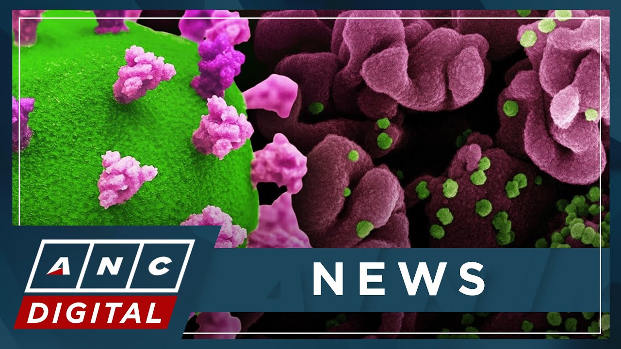 DOH confirms local transmission of omicron XBB subvariant, XBC variant | ANC