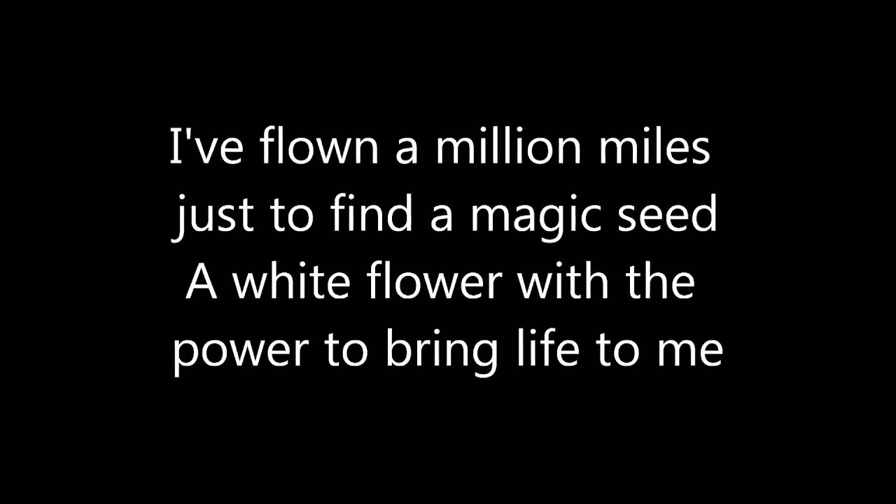Katy perry Humming bird Heartbeat lyrics