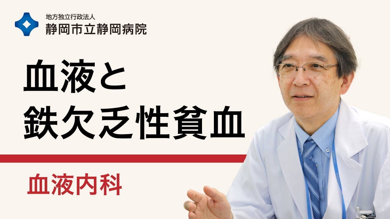 血液と鉄欠乏性貧血【静岡市立静岡病院 血液内科】