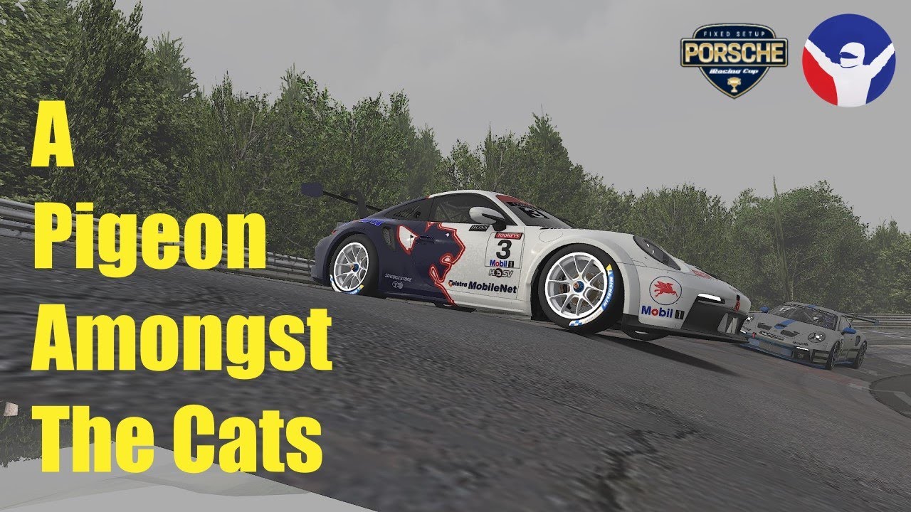 iRacing - Porsche Cup - Nurburgring - A Pigeon Amongst The Cats