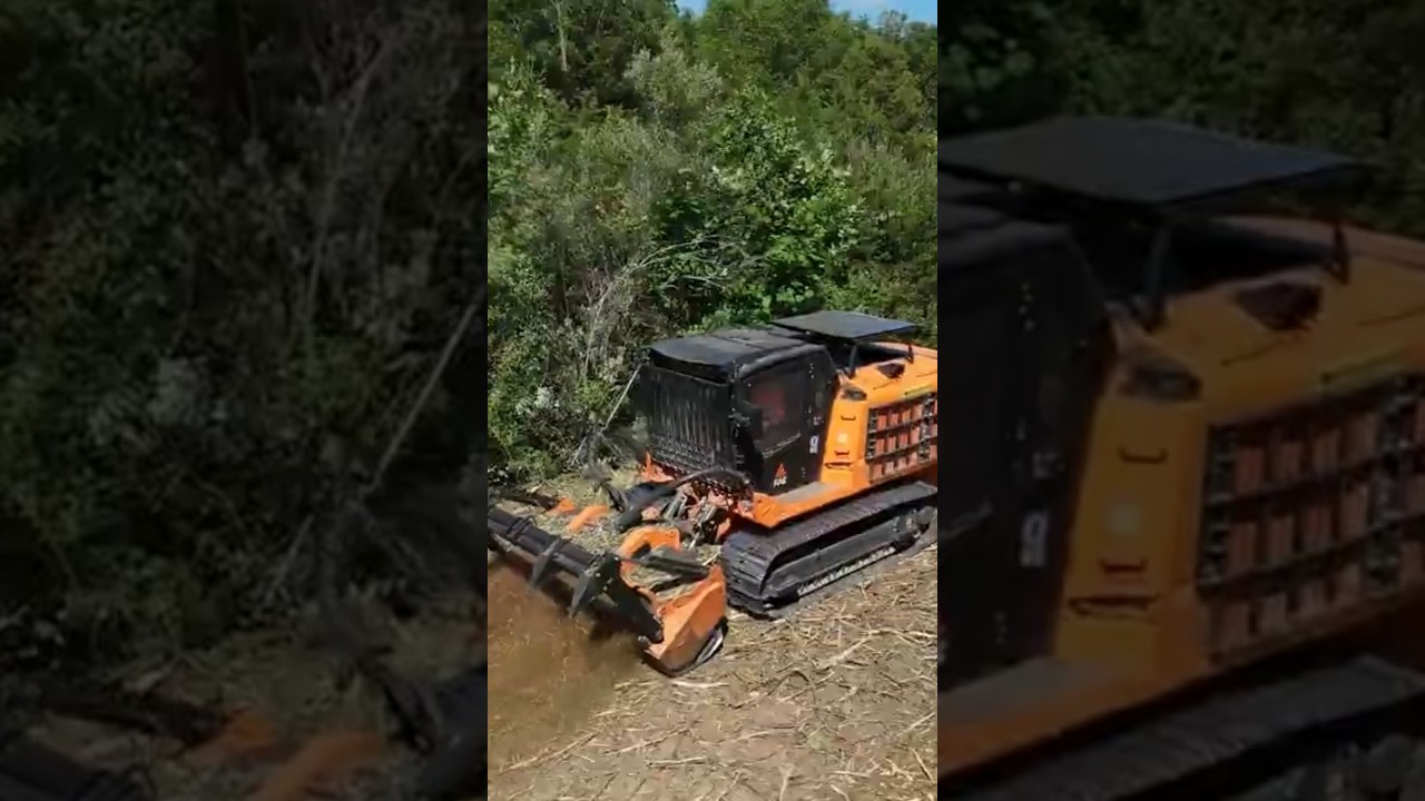 This Forestry Mulcher EATS Skid Steers for Breakfast!!! #forestrymulching #landclearing