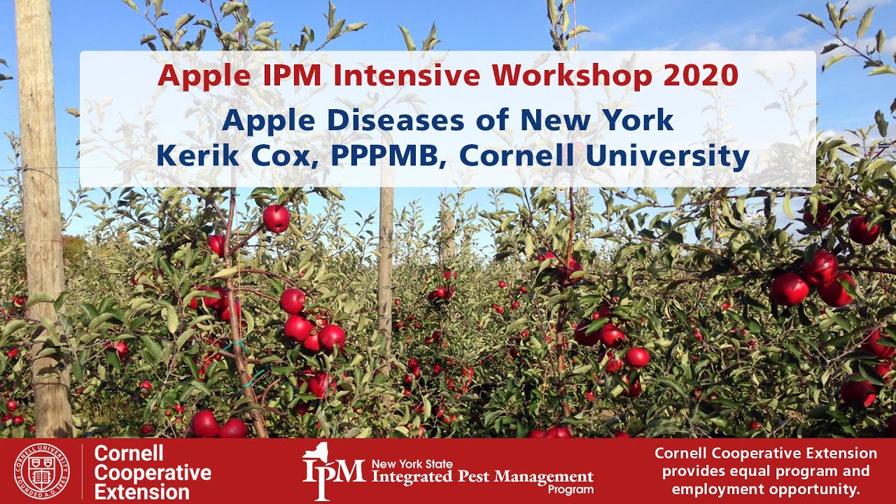 Apple Diseases of New York