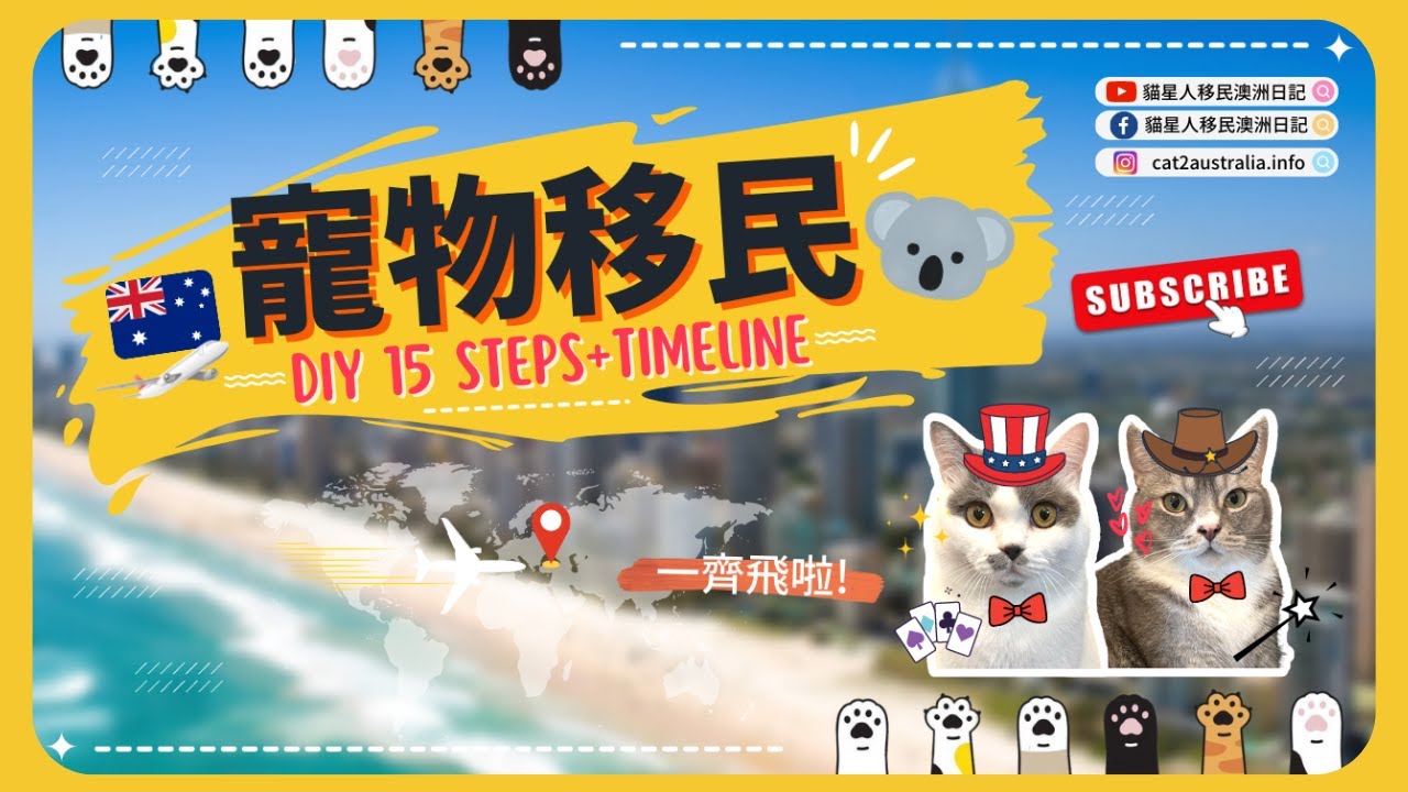 ✈️帶寵物移民澳洲到底有幾多個程序🐱？自己安排又得唔得📝？15個移民步驟一步一步同你分享🐈&hearts;️ 貓星人移民澳洲日記