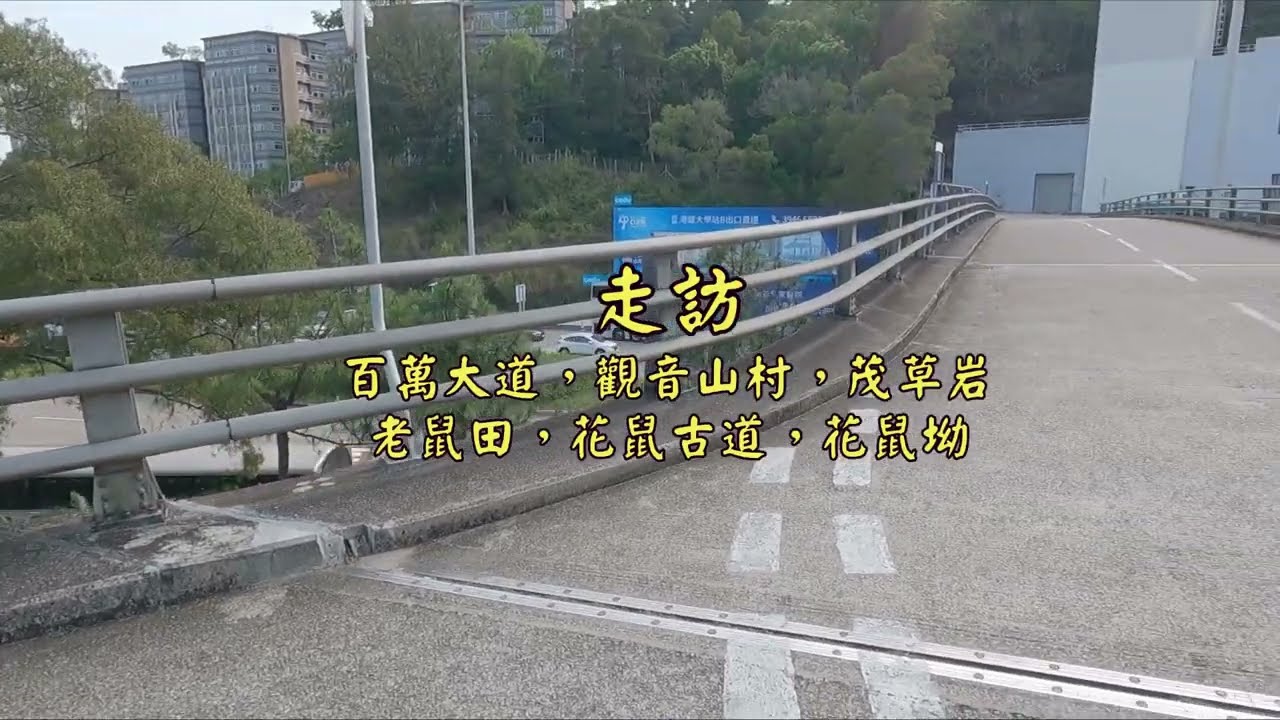 走訪 百萬大道，觀音山村，茂草岩，老鼠田，花鼠古道