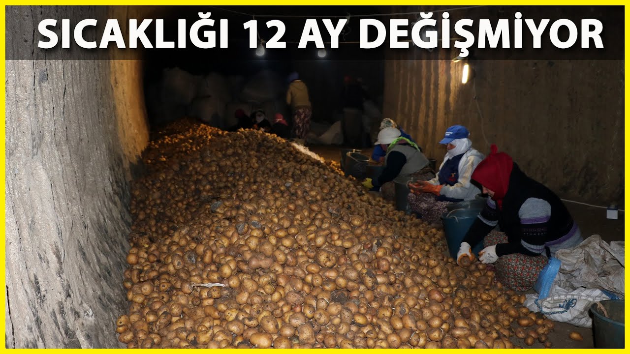 Mağarada Saklı Lezzet 'Sandıklı Patatesi'