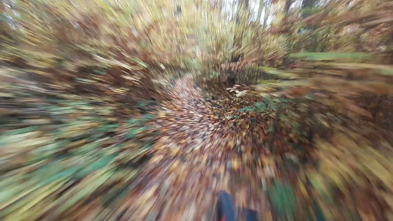 Bismarck Turm Trail | Göttingen