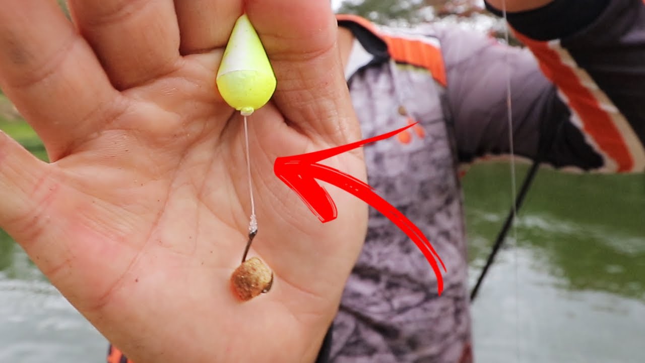 PEIXE MANHOSO? EXPERIMENTE ESSA TÉCNICA!