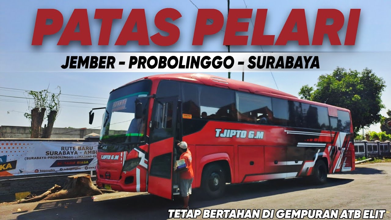 TRIP JEMBER - SURABAYA, NAIK PATAS TJIPTO GM, TETAP BERTAHAN DI GEMPURAN ATB ELIT