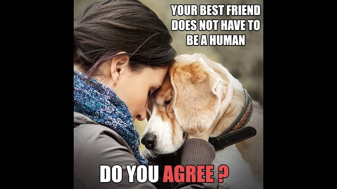 Mental Disorders Behind Dog Obsession