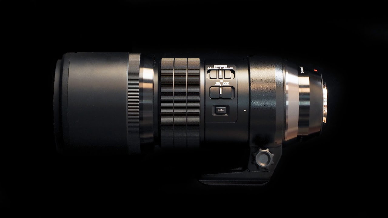 First Impressions   Olympus M Zuiko 300mm f4