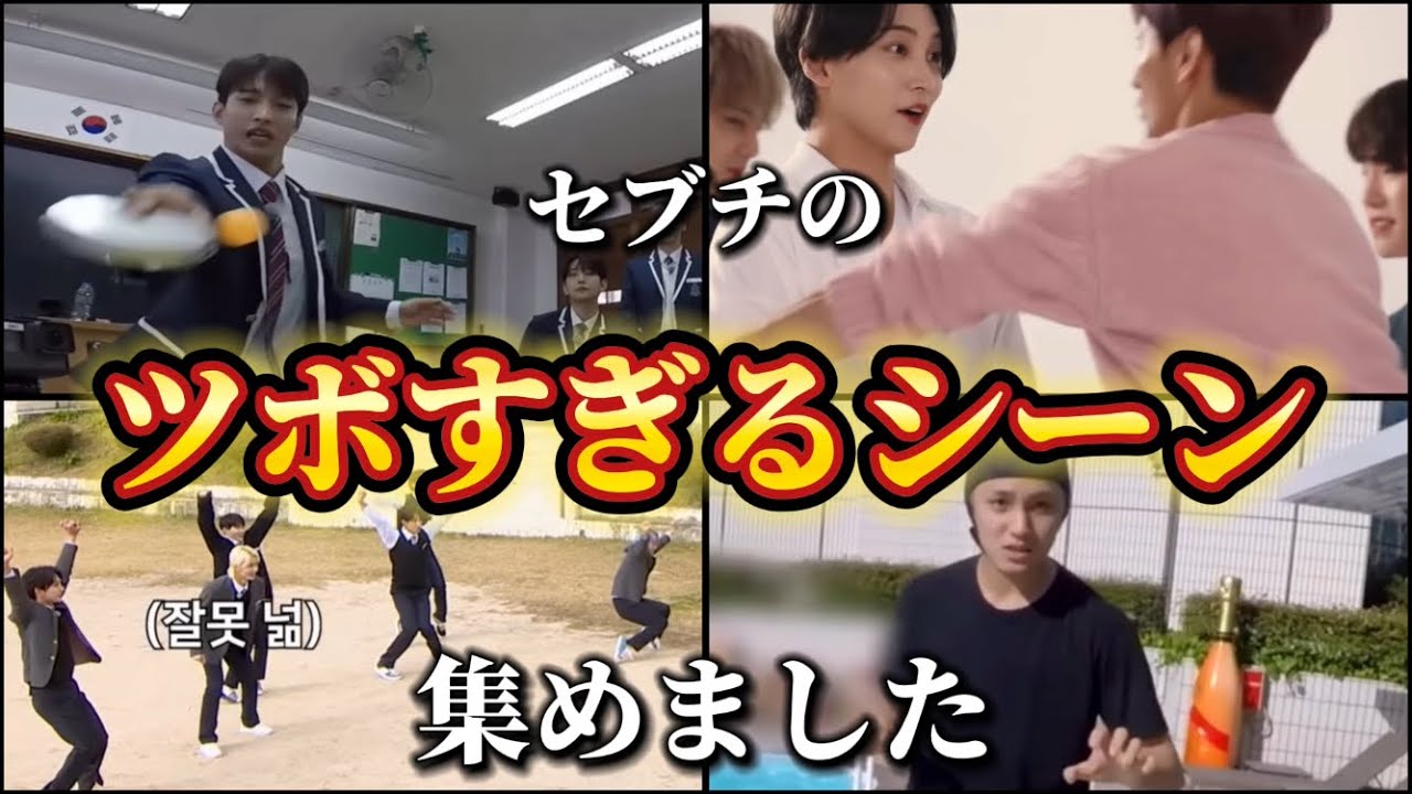 【SEVENTEEN/セブチ】これを見てセロトニンを増やしましょう