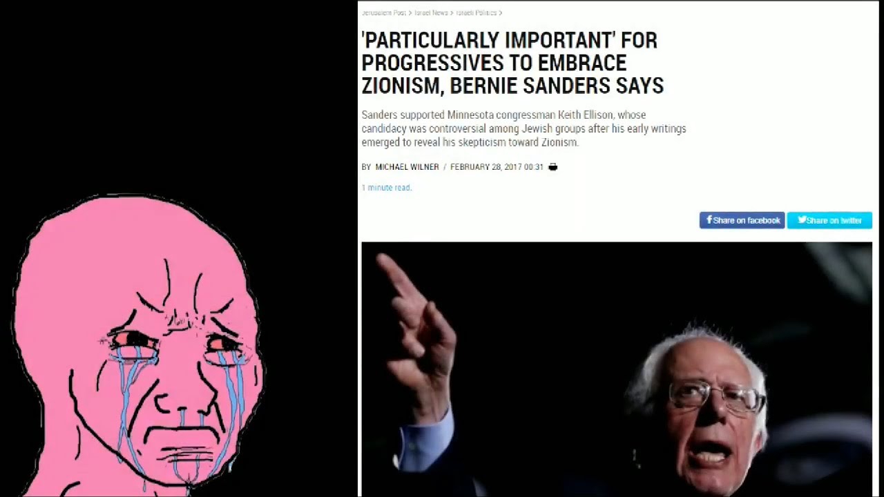 yang gang 2020 -  Bernie Sanders Edition