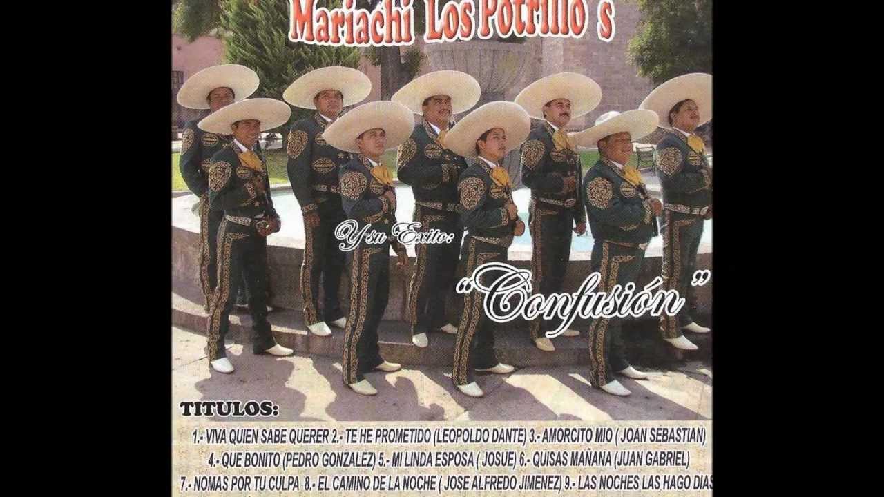 Amorcito Mio-Mariachi Internacional Los Potrillo's