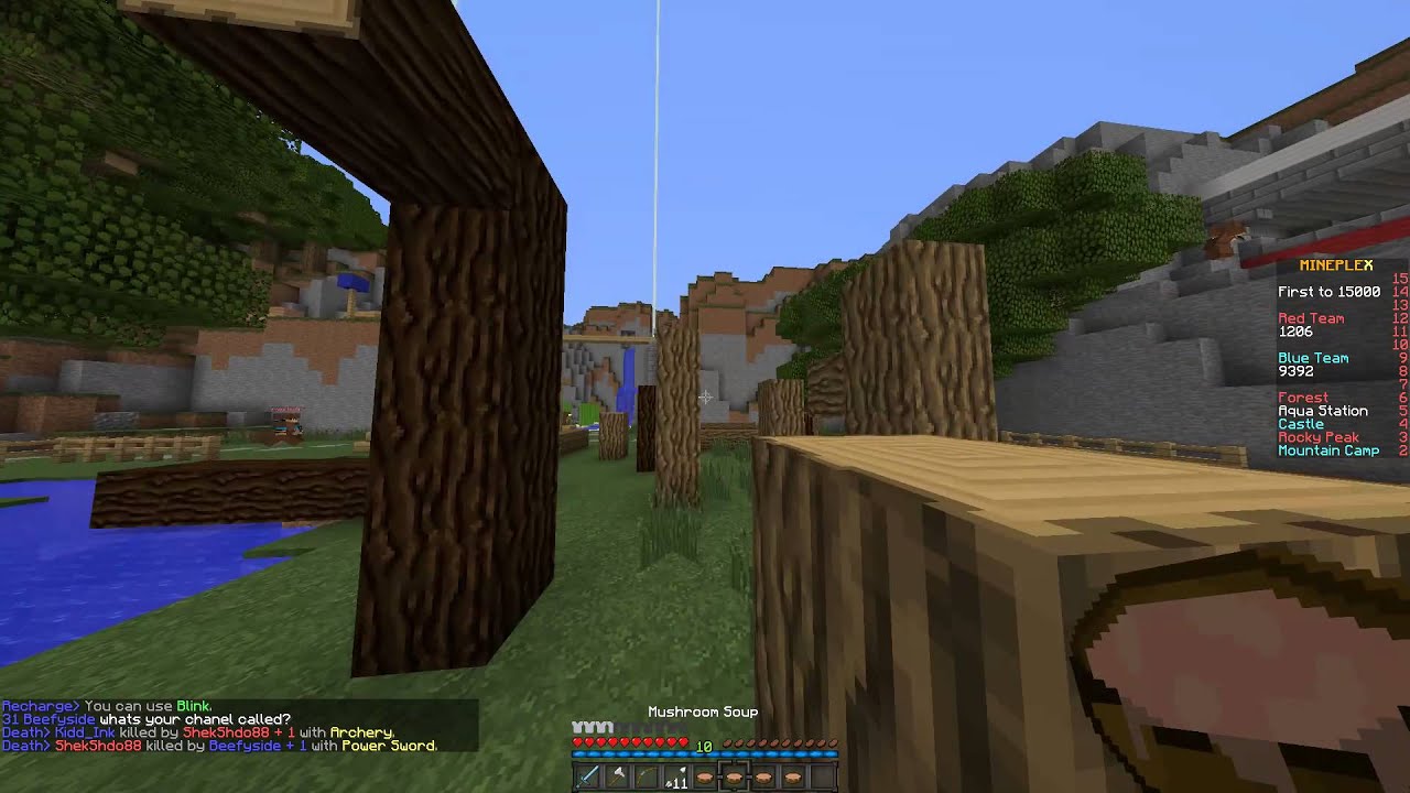 Mineplex Champions w/ Relyh