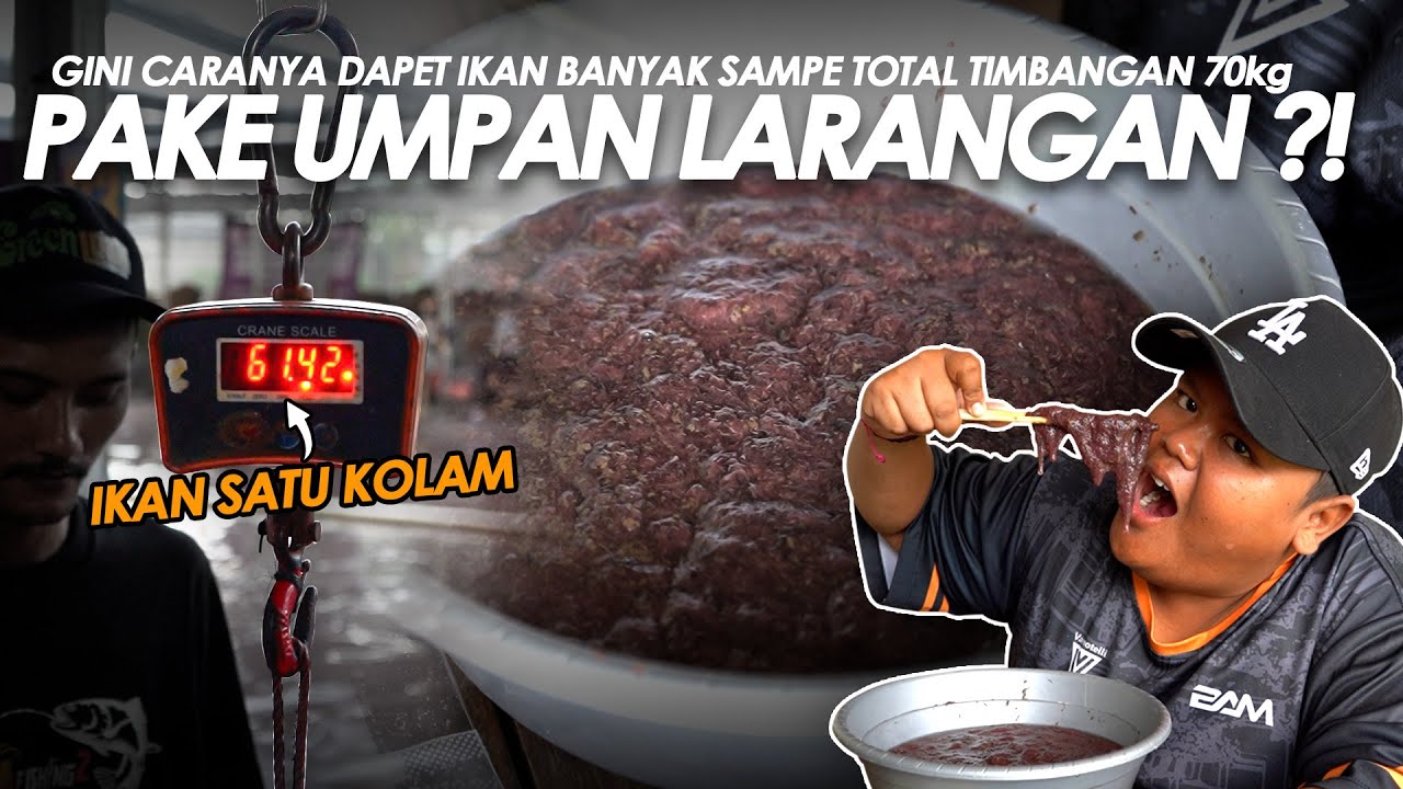 CACING KREMI UMPAN PALING DI LARANG !! BIKIN KORANG PENUH SAMPAI TOTAL TIMBANGAN 70kg || BAM#11