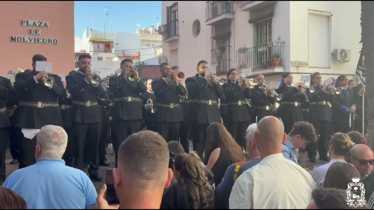 ETERNAMENTE | PLAZA DE MOLVIEDRO | CERTAMEN HERMANDAD JESÚS DESPOJADO (SEVILLA)