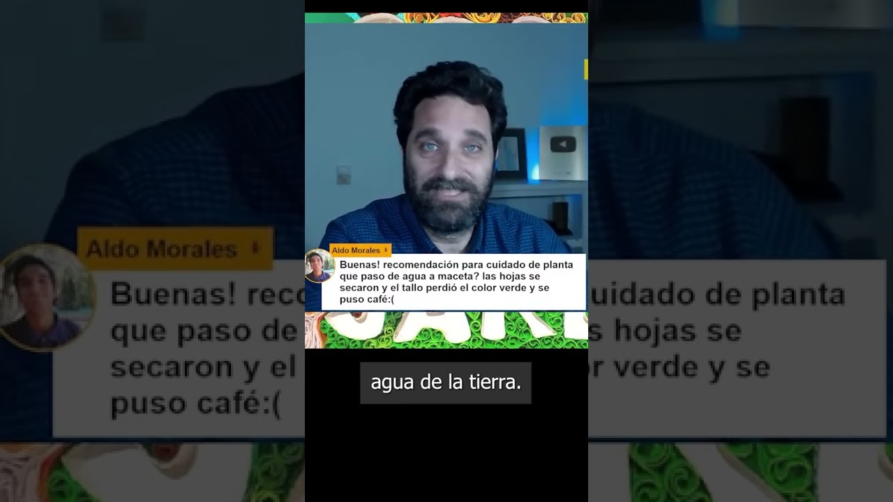 trasplantar de agua a a tierra