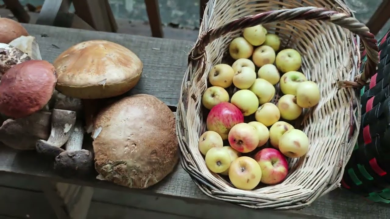 MANTAR NASIL TOPLANIR DAĞDA YAŞAM 