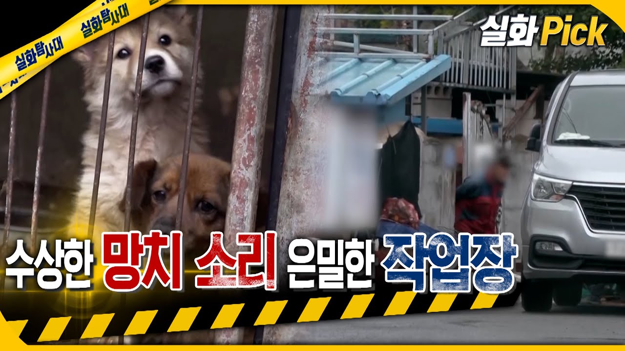 [실화Pick] 수상한 망치소리 은밀한 작업장 #실화탐사대 #실화On MBC210605방송