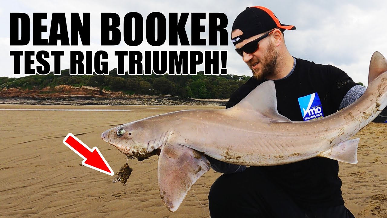 Dean Booker- Sully Sandspit, Mixed FISHING!