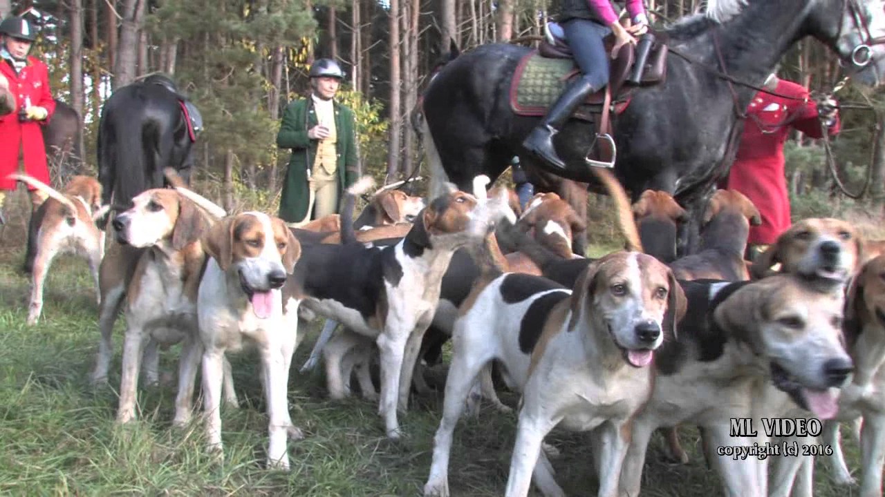 CAPPENBERGER MEUTE HERZEBROCK 2016