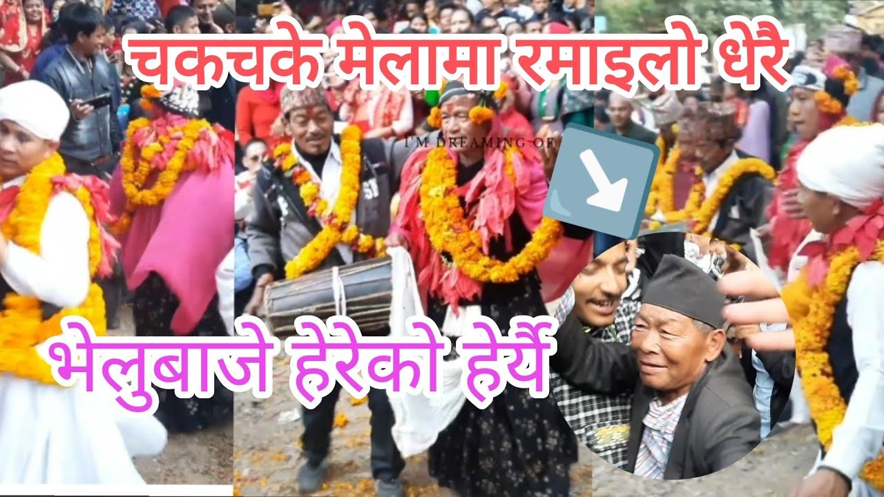 Chakchake mela bhailo | चकचके मेला भैलो  | Bhailo | भैलो