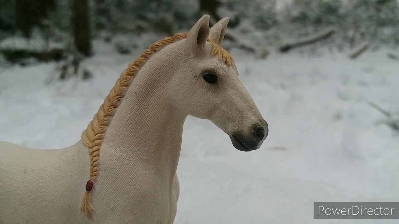 Silvermoon und die 4 Elemente #7 Aufgeklärt (Schleich Serie) ||animal#love||