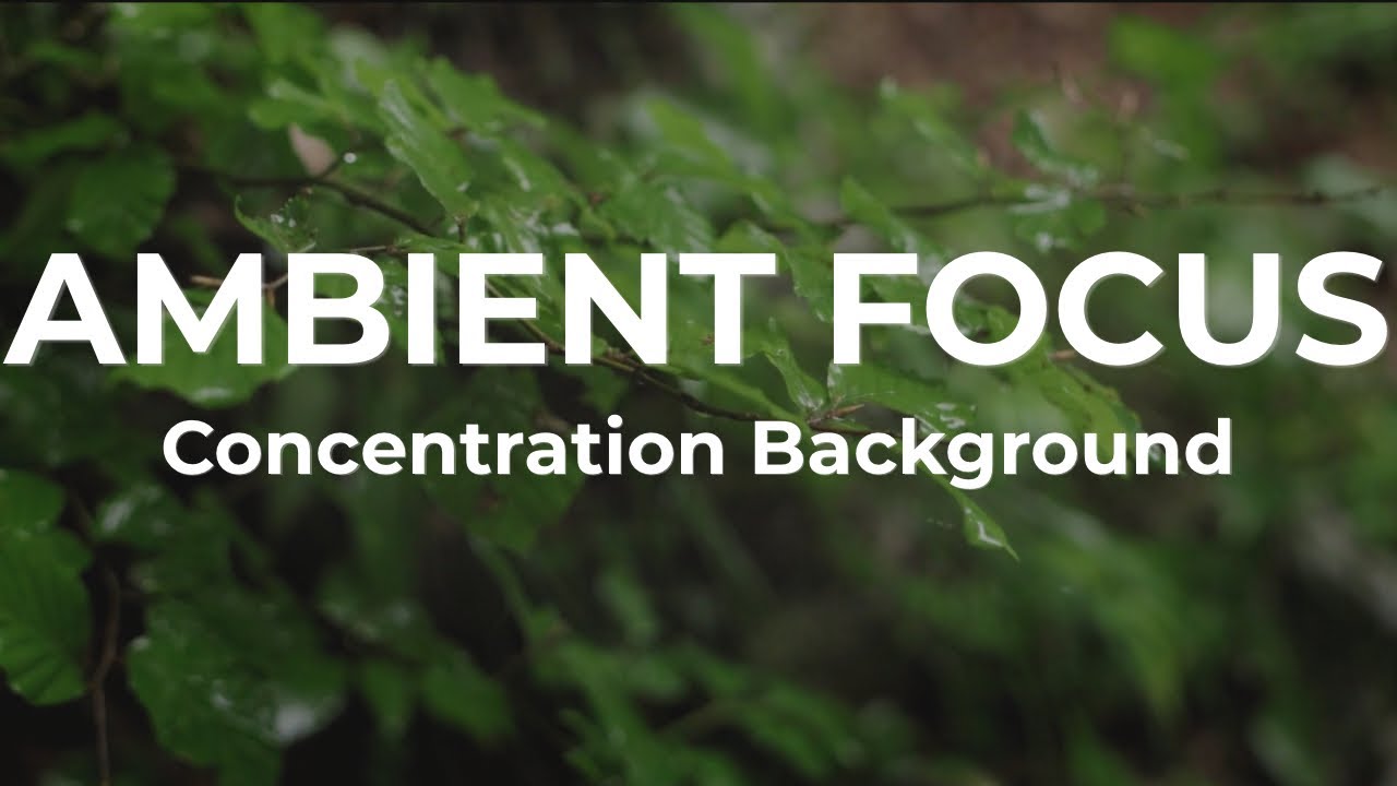 Deep Focus Ambient Music — Continuous Background for Work & Concentration