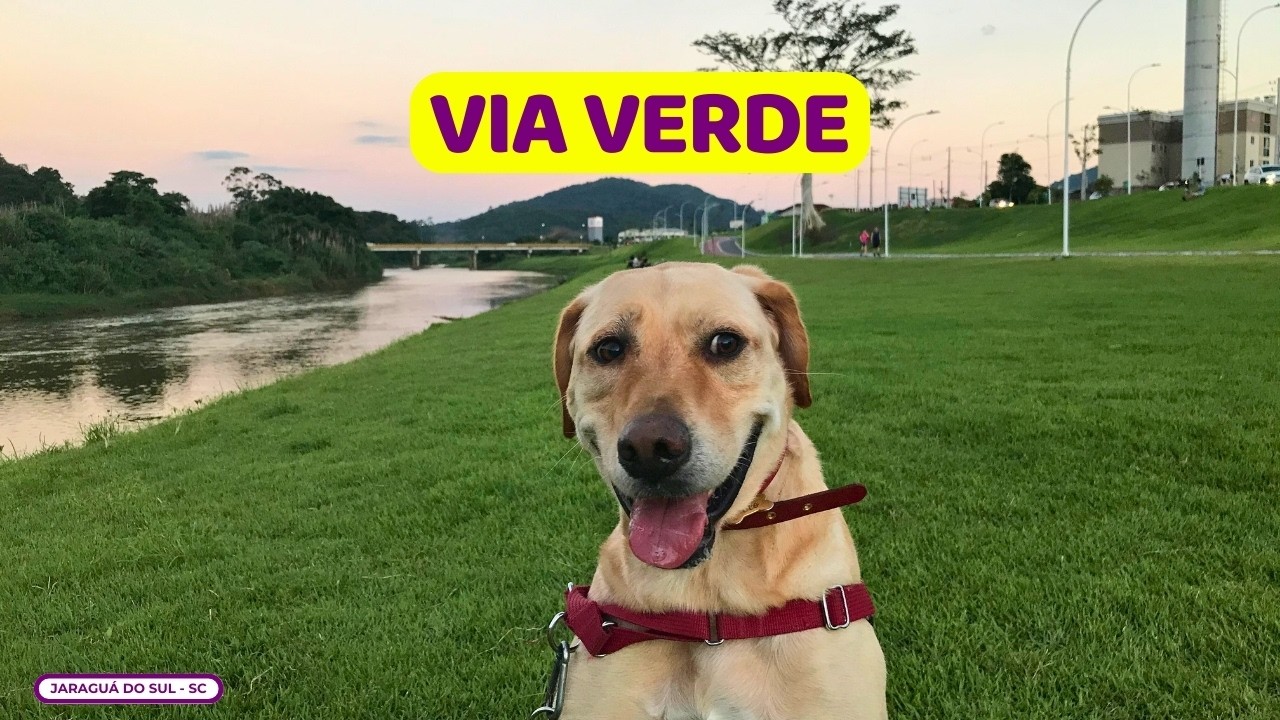 😱 ASSISTA ANTES de ir na Via Verde | Passeio matinal de cachorro | Jaraguá do Sul | VLOG
