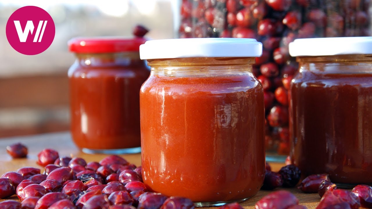 Lake Balaton - Making rosehip mousse yourself | What's cookin'