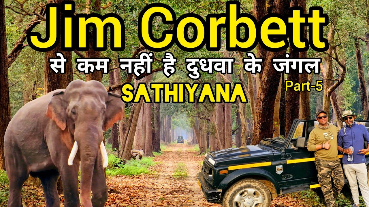 जिम कॉर्बेट से कम नहीं है दुधवा के जंगल | Dudhwa Tiger Reserve | SATHIYANA Zone #wildlife #tiger