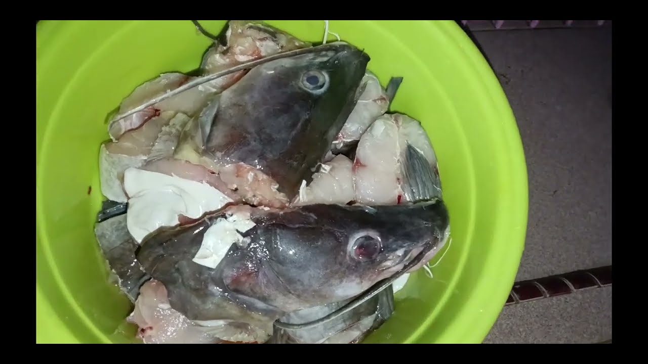 DAPAT REZEKI BESAR...KITA MASAK SUP TERJUN..